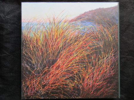 Beach Grass Print on Board