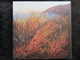 Beach Grass Print on Board