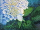 Blue Hydrangea