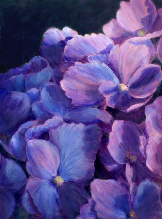 Cascading Hydrangeas
