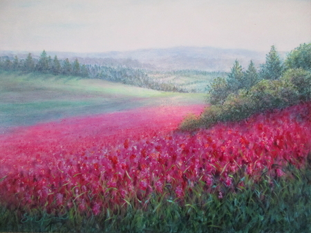 Clover Fields