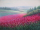 Clover Fields