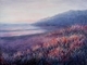 Evening's Blush