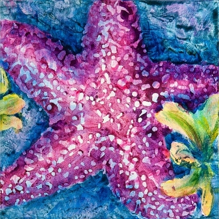 Magenta Star