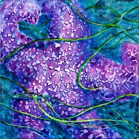 Purple Seastar