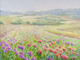 Dahlia Fields