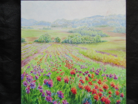 Dahlia Fields Print on Board