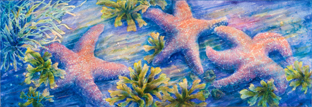 Dance of the Sea Stars