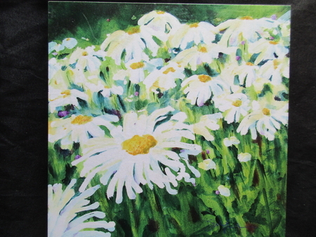 Delirious Daisy Print on Board