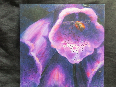 Foxglove & Bee Print on Board