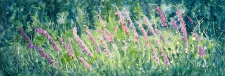 Foxglove Meadow