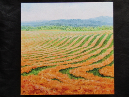Hay Fields Print on Board