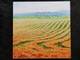 Hay Fields Print on Board
