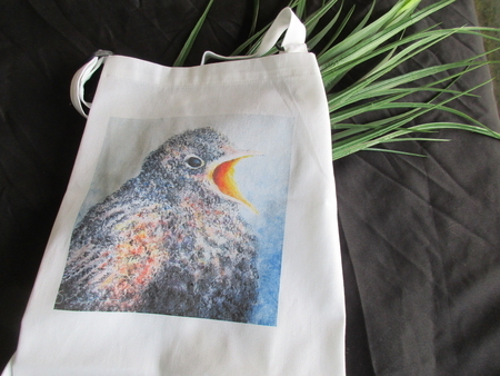 Hungry Robin Apron