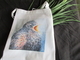 Hungry Robin Apron