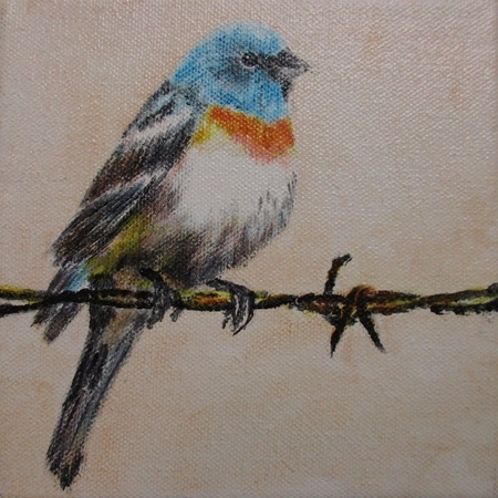 Lazuli Bunting I
