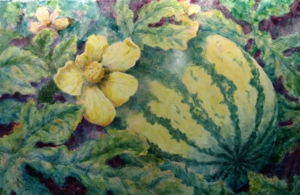 Watermelon