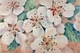 Pear Blossom