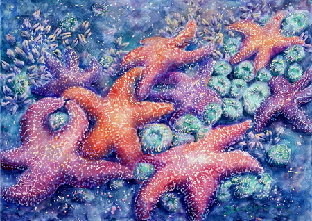 Sea Star Galaxy Greeting Card