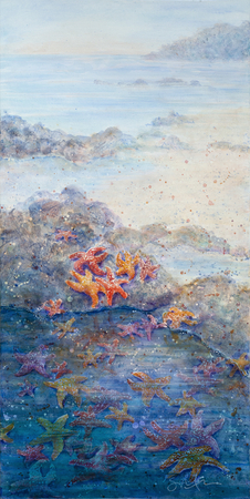 Tidepool Constellation