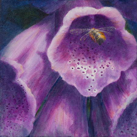 Bee and Foxglove