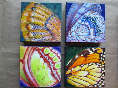 Jeweled Wings
