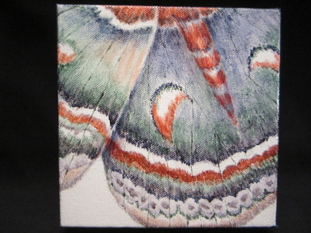 Jeweled Wings #11