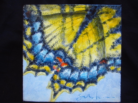 Jeweled Wings #31