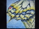 Jeweled Wings #35