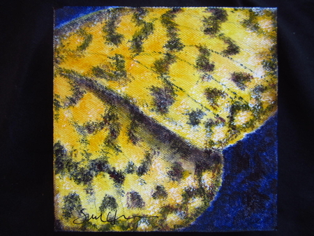 Jeweled Wings #37