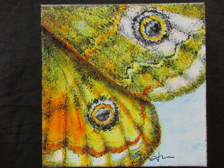 Jeweled Wings #44