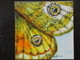 Jeweled Wings #44
