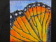 Jeweled Wings #49