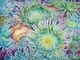 Jewels of the Sea, 8" x 10" print