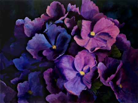 Moonlight Hydrangea