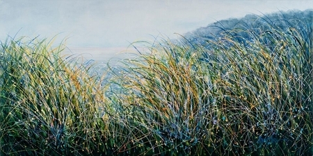 Lively Calm