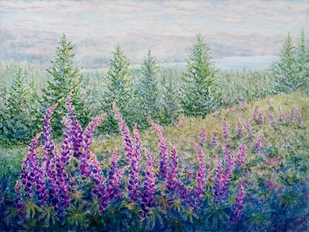 Lupine Meadow
