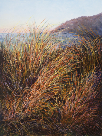 Manzanita Beach Grass