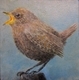 Pacific Wren