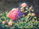 Peony Nimbus