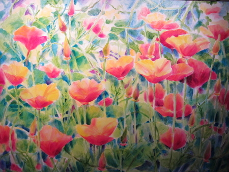 Poppies Singing