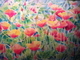 Poppies Singing