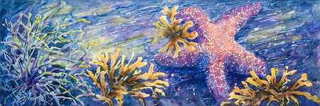 Sea Star of my heart