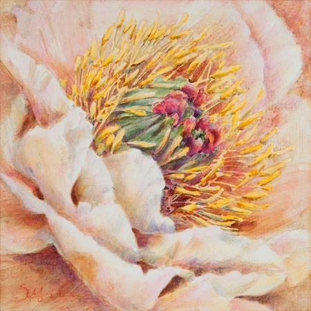 Soft Petal