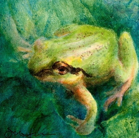 Spring Peeper