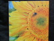 Sunflower & Bee Print on Board