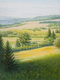 Sunlit Meadow