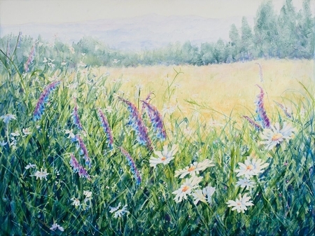Walk in the Meadow