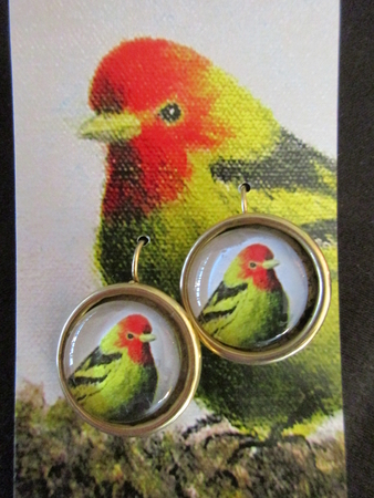 Western Tanager, large round